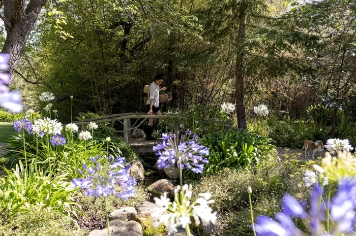Meghan Markle la Montecito, Instagram (3) png