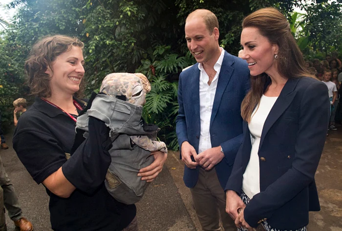 Puiul de dinozaur a luat-o prin surprindere pe Kate