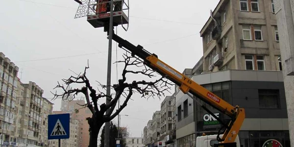 Muncitorii au prins instalația pe stâlpi și în copaci
