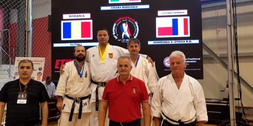mircea popa