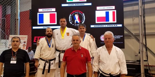 mircea popa