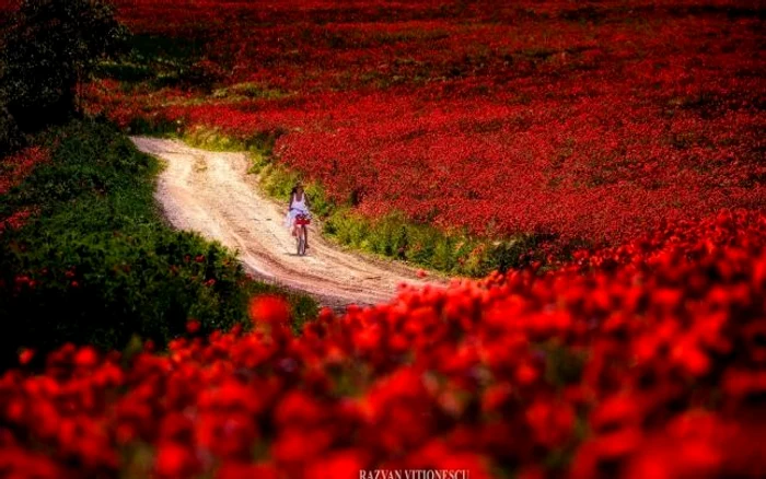 Klaus Iohannis, alături de alergători de la maratonul de la Sibiu
