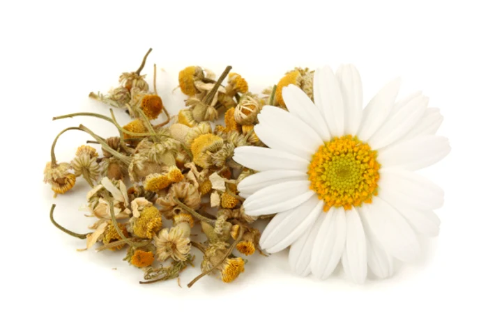 
    Muşeţelul calmează mâncărimile cauzate de psoriazis.www.clicksanatate.ro  