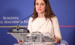 oana toiu foto facebook mae png