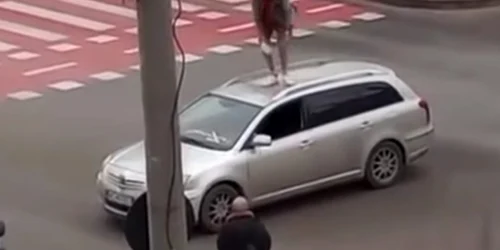 Tanar din Bacau beat pe masina jpeg