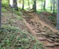 Cetatea dacica Piatra Roșie Foto Daniel Guță ADEVĂRUL (2) jpg