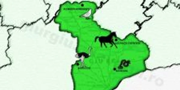 Harta "afacerilor cu animale" din judeţul Giurgiu (INFOGRAFIE Bogdan Vladu)