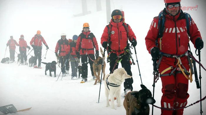Echipajele canine fac în situații dificile pe munte diferența între viață și moarte. Foto: curier.ro
