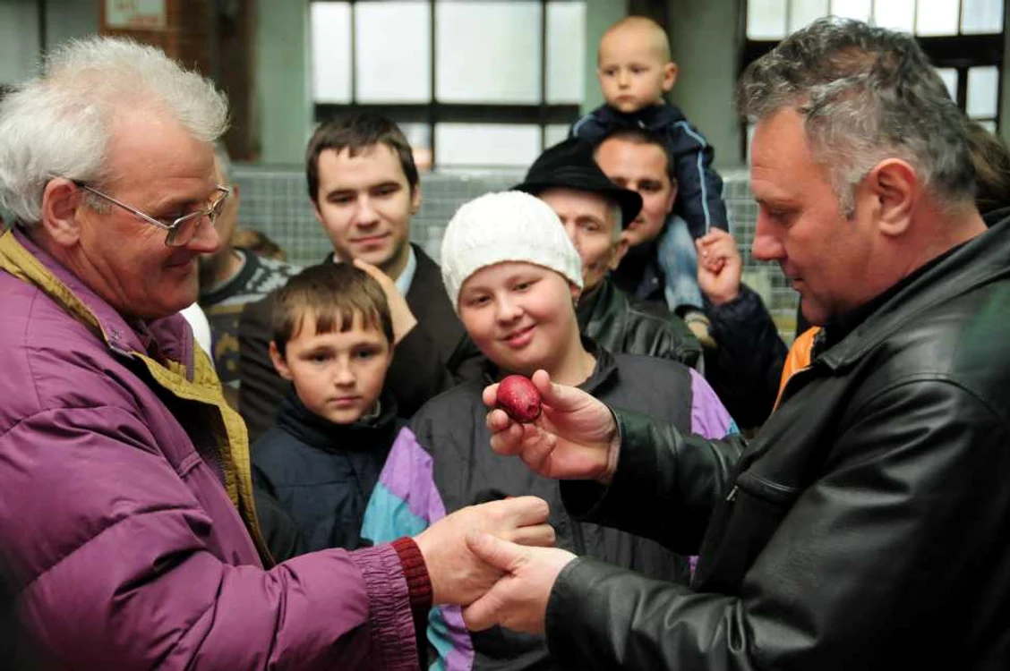 Participanţi la competiţia de spart ouă