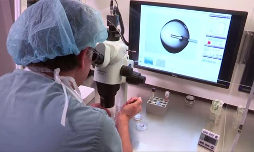 1 83881 original jpg jpeg