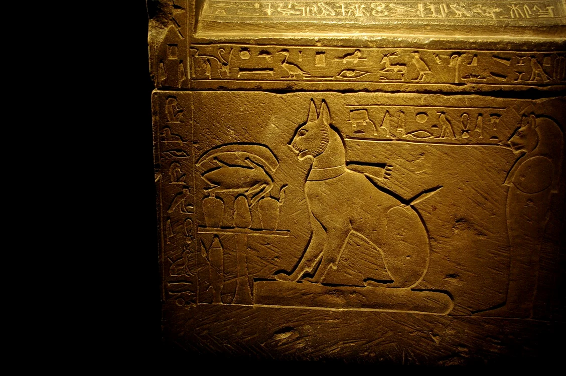 Sarcofagul pisicii prințului Thutmose (© Larazoni / Flickr) 