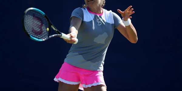 monica niculescu