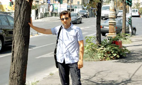 Arborii de pe marginea  şoselelor au terminat  rezervele de apă jpeg