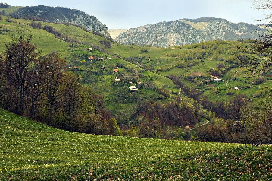 Bărbat de 43 ani, mort după ce i s-a făcut rău într-o zonă izolată și greu accesibilă din Munții Trascău