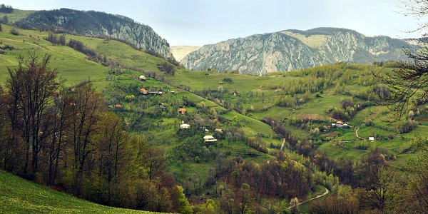 tecsesti alba jpg