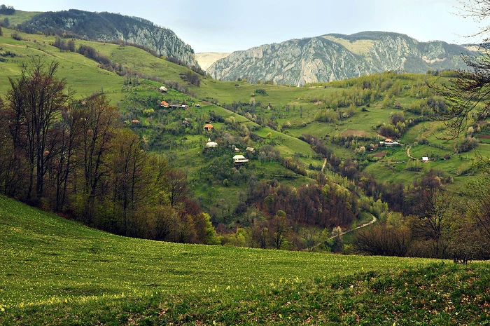 Cătunul Tecșești din Munții Trascău FOTO Adevărul