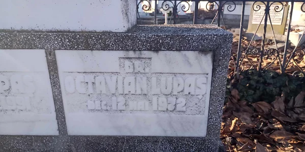 Octavian Lupas bun jpg