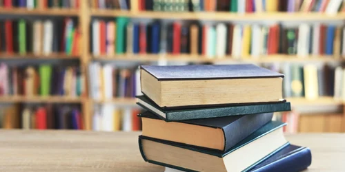 biblioteca rurala shutterstock 2567293593 jpg