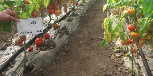 foto program vizita teren daj Olt 2022   foto fb daj olt jpg