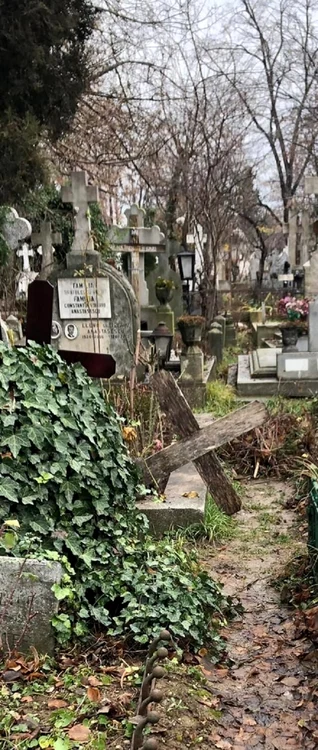
    Imagine din cimitirul Bellu, publicată de Oana Pellea, pe Facebookfoto: Facebook  