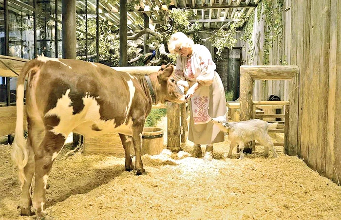 Rusia. Restaurantul Şinok din Moscova îi invită pe clienţi să mănânce cu vacile