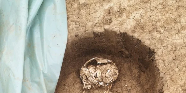 oseminte descoperite pe şantierulş drumului expres craiova pitesti in judeţul dolj
