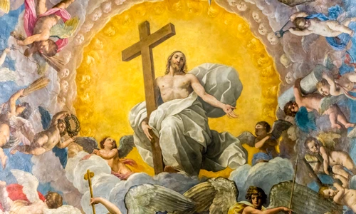 1 shutterstock 1237254028 jpg jpeg