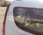 Cereale carate de masinile politiei locale constanta