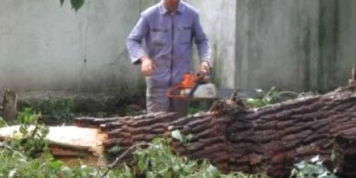 Tânărul se afla în pădure, la tăiat de lemne