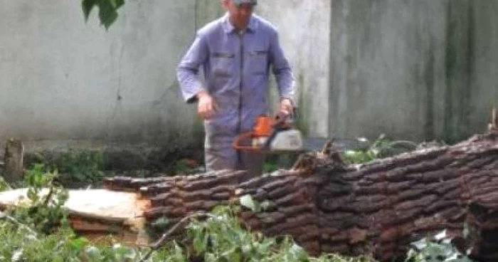 Tânărul se afla în pădure, la tăiat de lemne