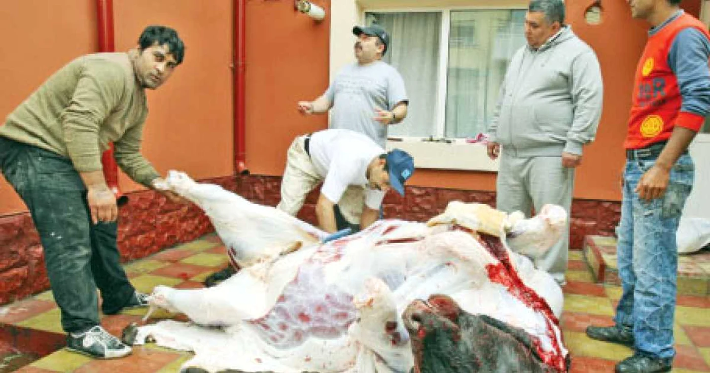 Iusein Ibraim (al doilea din dreapta) şi ajutoarele sale  au sacrificat un taur pentru săraci  