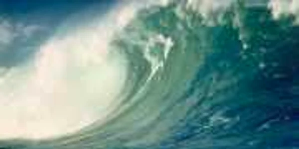 Cutremur şi tsunami în Japonia - Revista presei internaţionale