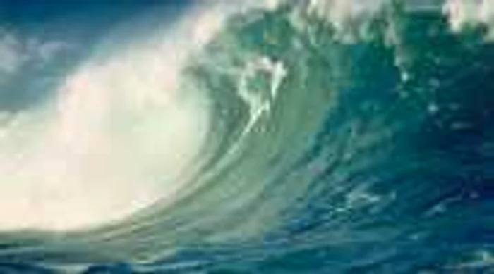 Cutremur şi tsunami în Japonia - Revista presei internaţionale
