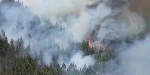 624eb2cc5163ec42711f425d jpg