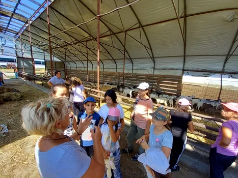 Copii din Galați în excursie în Dobrogea FOTO Arhiepiscopia Dunării de Jos