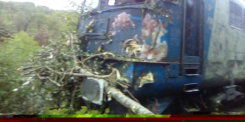 Tren bucuresti - baia mare foto stefan angelescu / facebook