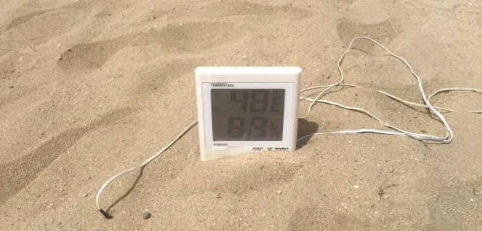 În Dăbuleni a fost astăzi ca în Sahara, iar temperaturile au depăşit 40 de grade Celsius