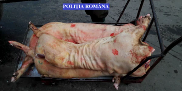 carne de porc