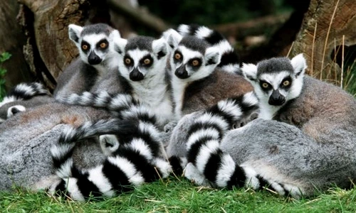 1 60934 original jpg jpeg