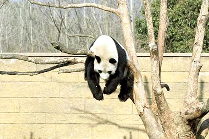 “Sunt sexy! Mi-au spus-o multe admiratoare!”