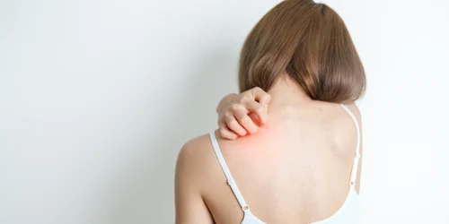 shutterstock 2534629983 (1) jpg