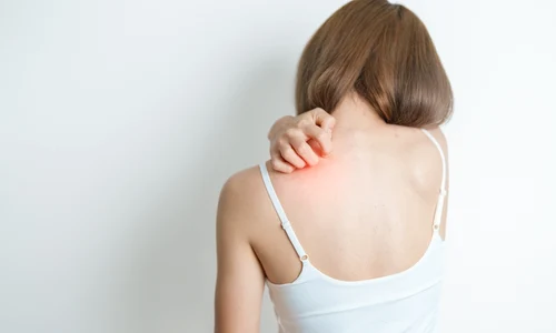 shutterstock 2534629983 (1) jpg