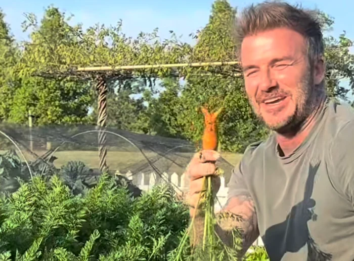 David Beckham, pasionat de grădinărit  Foto/TikTok