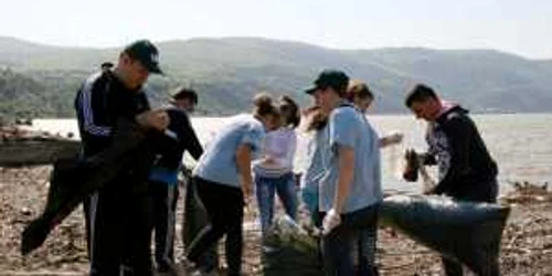 Volunarii au făcut curat pe malul Dunării
