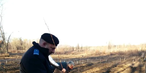 impadurire mehedinti FOTO IJJ Mehedinti 