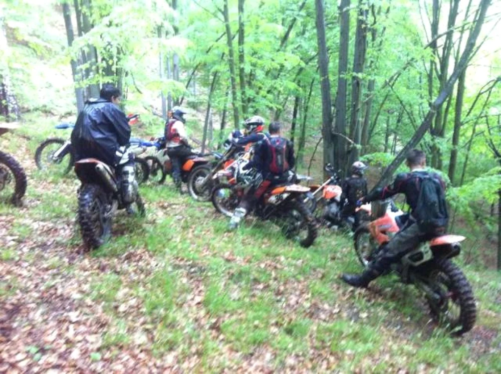 Motociliştii ar fi intrat în două arii naturale protejate din masivul Trascău. Foto Arhivă