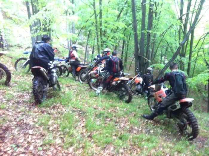 Motociliştii ar fi intrat în două arii naturale protejate din masivul Trascău. Foto Arhivă