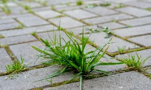 poza material Agrii Practic si Util jpg