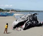 Milioane de tone de plastic deversate în oceane Foto hownowmagazine com