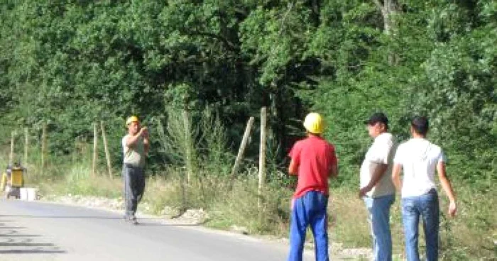 Pitesti: Începe asfaltarea drumului forestier Trivale  - Găvana